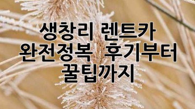 생창리 렌트카 완전정복! 🚗💨 후기부터 꿀팁까지!