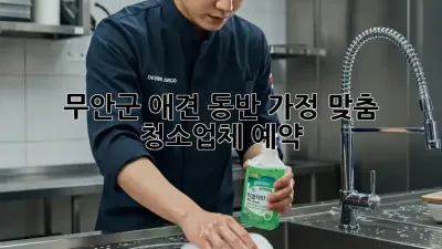 무안군 애견 동반 가정 맞춤 청소업체 예약