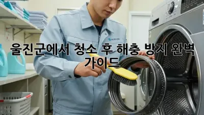 울진군에서 청소 후 해충 방지, 완벽 가이드!