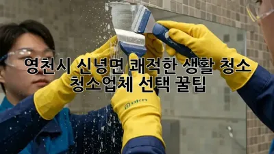 영천시 신녕면 쾌적한 생활 청소, 청소업체 선택 꿀팁 🏡✨